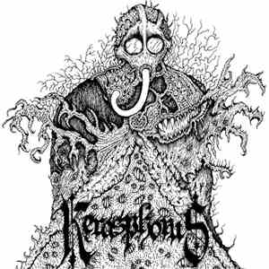 Kerasphorus - Kerasphorus