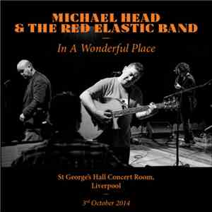 Michael Head & The Red Elastic Band - In A Wonderful Place