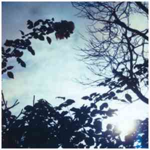 Pillow - Flowing Seasons