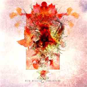 Reid Willis - Crude Healing