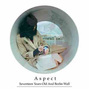 Seventeen Years Old And Berlin Wall - Aspect