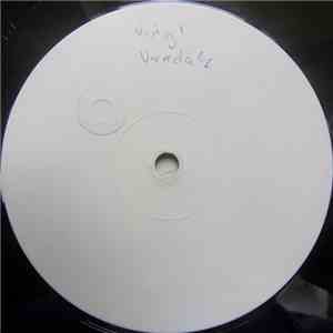 The Vinyl Vandals - Headstrong