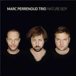 Marc Perrenoud Trio - Nature Boy
