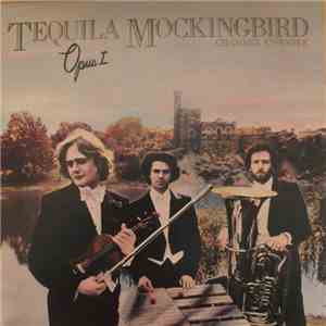 Tequila Mockingbird Chamber Ensemble - Opus I