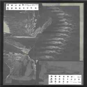 Twin Aperture - Looted American Dream
