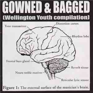 Various - Gowned & Bagged [Wellington Youth Compilation]
