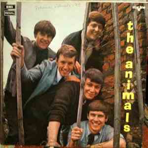 Animals - 1st
