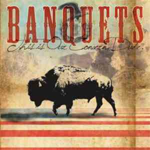 Banquets - This Is Our Concern, Dude