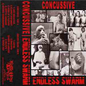 Concussive / Endless Swarm - Concussive / Endless Swarm