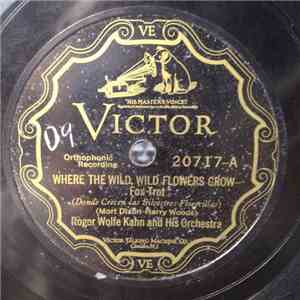 Roger Wolfe Kahn And His Orchestra - Where The Wild, Wild Flowers Grow / Calling