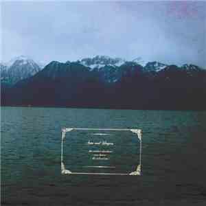 The American Dollar / Arms And Sleepers - From The Inland Sea