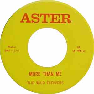 The Wild Flowers - More Than Me / Moving Along With The Sun