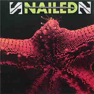 Nailed  - Nailed