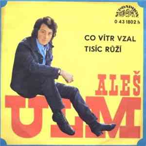 Aleš Ulm - Co Vítr Vzal / Tisíc Růží