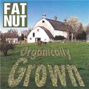 Fat Nut - Organically Grown
