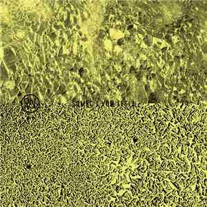 Somec / Von Tesla - Random Numbers Split Series Vol. 3