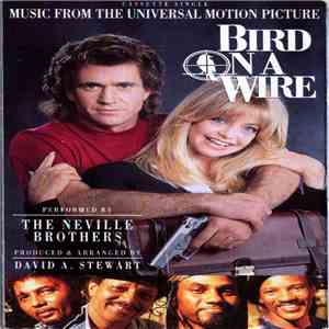 The Neville Brothers - Bird On A Wire