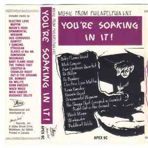Various - You're Soaking In It! Music From Philadelphia & N.Y.
