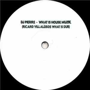 DJ Pierre - What Is House Muzik (Ricardo Villalobos What Is Dub)