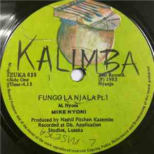 Mike Nyoni - Fungo La Njala