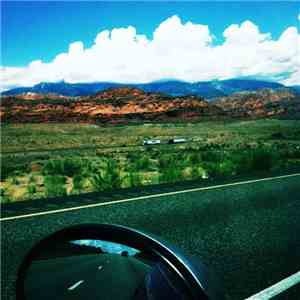 Stephin Merritt - Songs from This American Life - Episode 541: Regrets, I've Had a Few