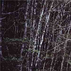 Birches - Birches Sessions, Vol. 1