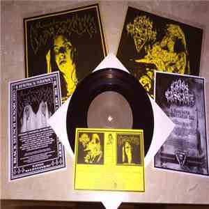 Chaos Cascade / Necrovulva - Chaos Cascade / Necrovulva