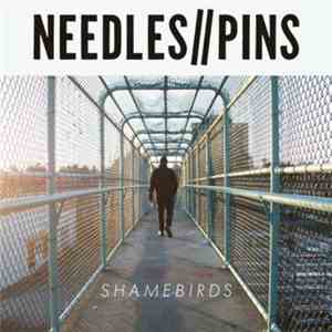 Needles//Pins - Shamebirds