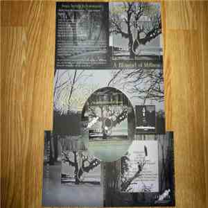 Woodlight, Soult It Doom - A Moment Of Stillness