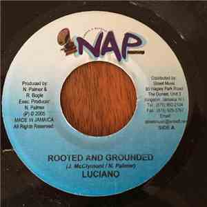 Luciano  - Rooted And Grounded