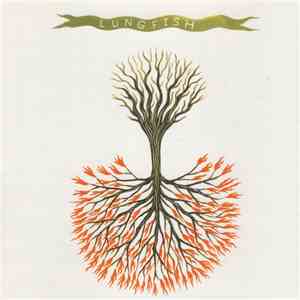 Lungfish - Love Is Love