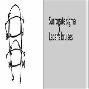 Surrogate sigma - Lacan’s Bruises