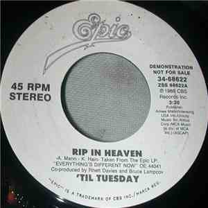 'Til Tuesday - R.I.P. In Heaven