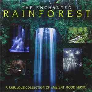 Unknown Artist - The Enchanted Rainforest