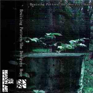Bruising Pattern / She Destroys Hope - Split