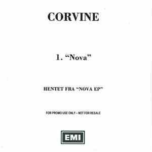 Corvine - Nova