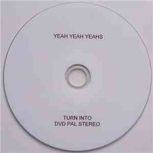 Yeah Yeah Yeahs - Turn Into