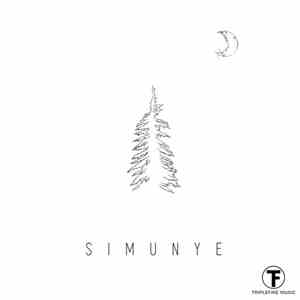 Damian Yoko - Simunye