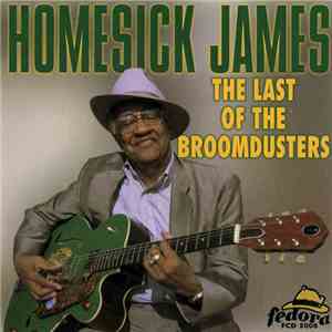 Homesick James - The Last Of The Broomdusters