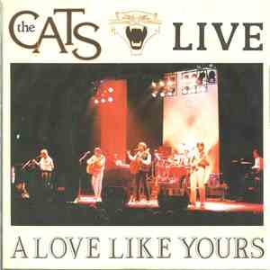 The Cats - A Love Like Yours