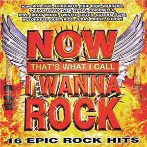 Various - Now That's What I Call I Wanna Rock