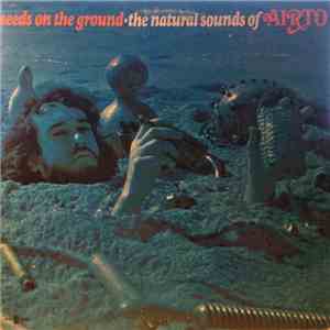Airto - Seeds On The Ground - The Natural Sounds Of Airto