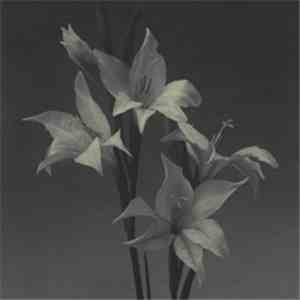 Claudio Cataldi - Homing Season