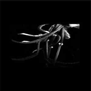 Aleph Naught - Le Langage Des Fleurs