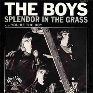 The Boys - Splendor In The Grass