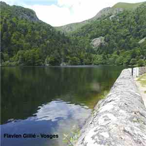Flavien Gillié - Vosges