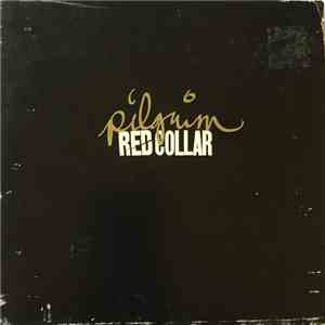 Red Collar - Pilgrim