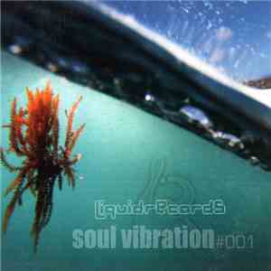 Various - Soul Vibration#001