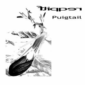 Flipper  - Puigtail