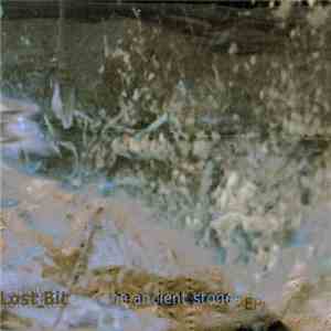 Lost_Bit - Ancient Stones EP